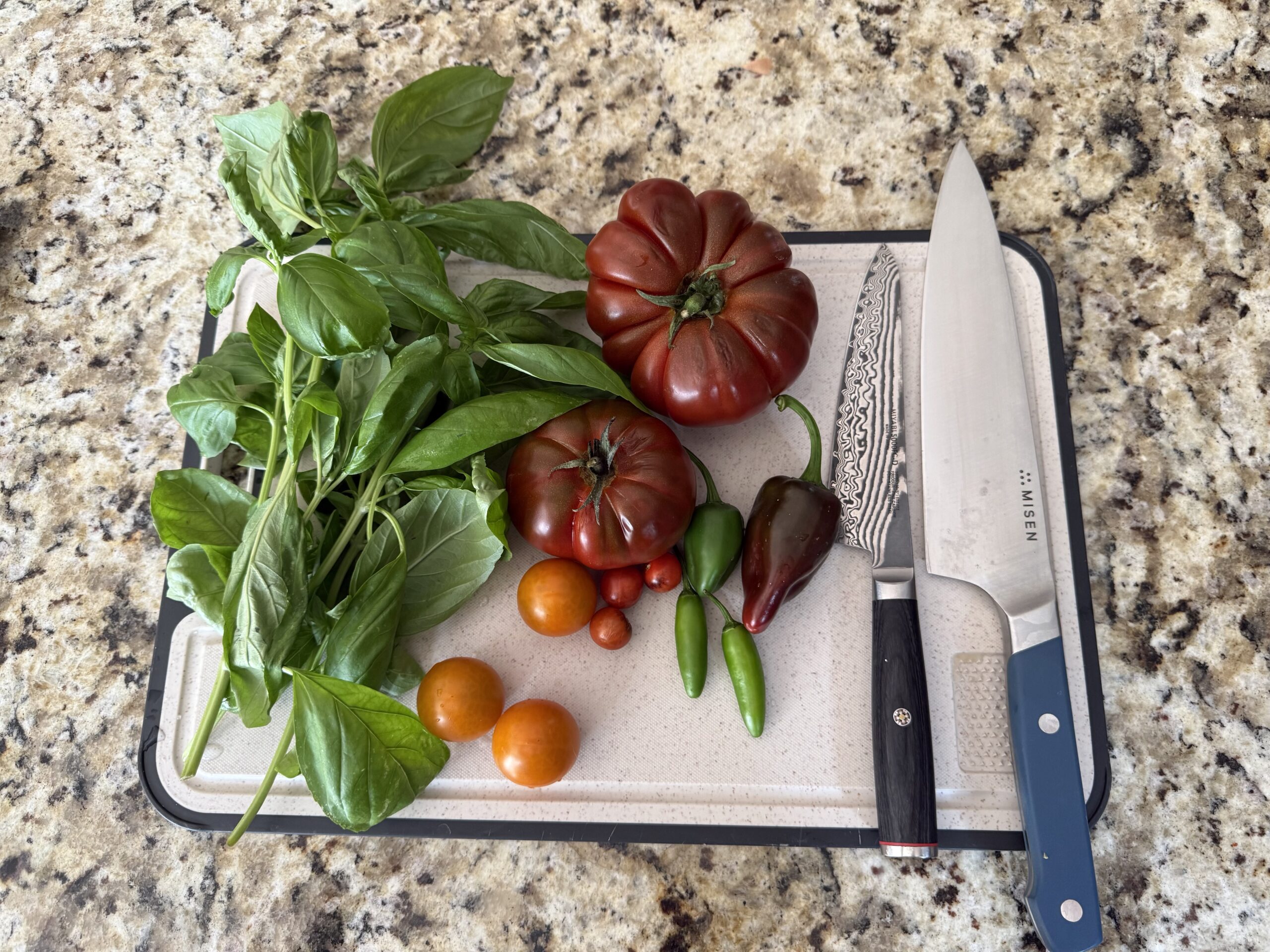 Seared chicken alla Debbie's Garden with heirloom tomato relish over pappardelle