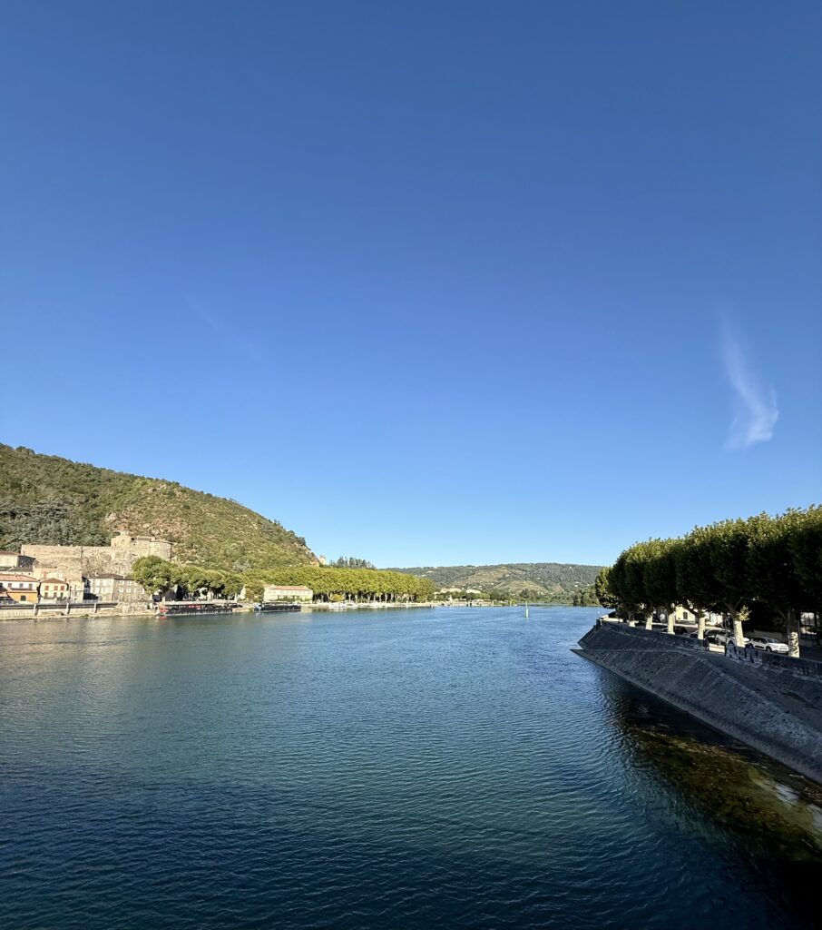 What happened when our Rhine cruise met Europe's worst drought in decades